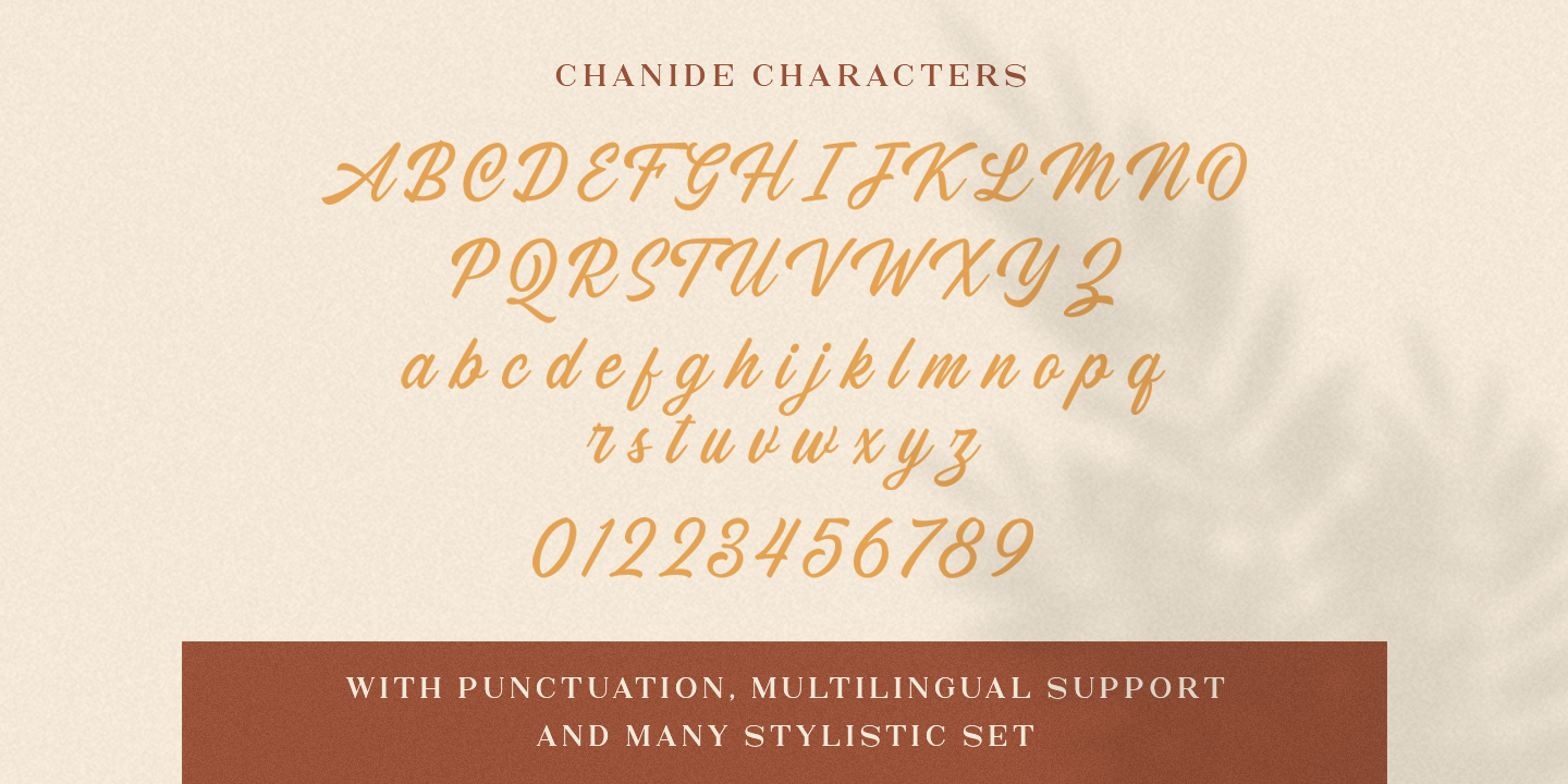 Chanide Script Regular Font preview